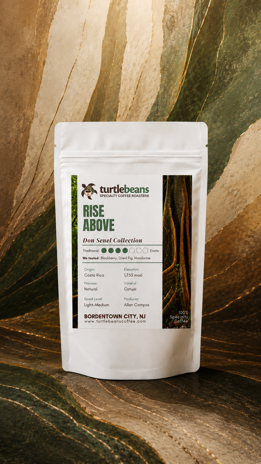 Rise Above — Inspirational Specialty Coffee