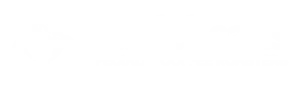 Turtle Beans Coffee site logo
