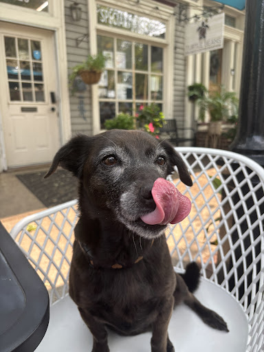 Photo from customer review